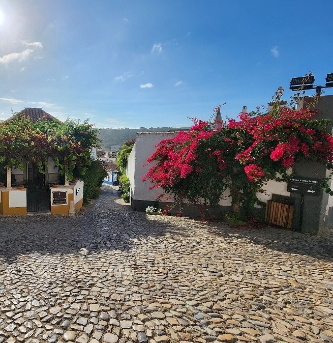 Обидуш: город, утопающий в цветах и истории. Узкая мощеная улочка города Обидуш с цветущей бугенвиллией.