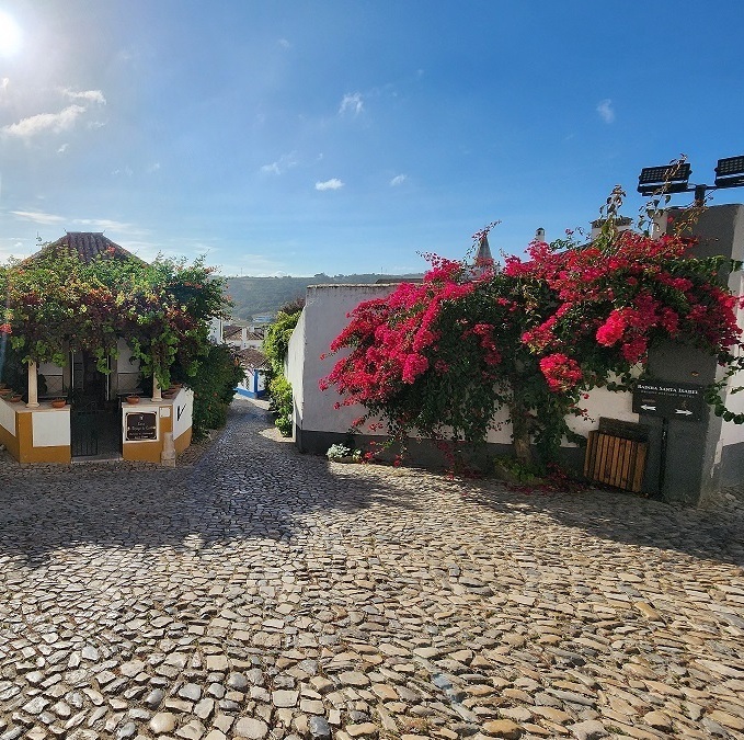 Узкая мощеная улочка города Обидуш с цветущей бугенвиллией. Авторские пешеходные экскурсии по Португалии.