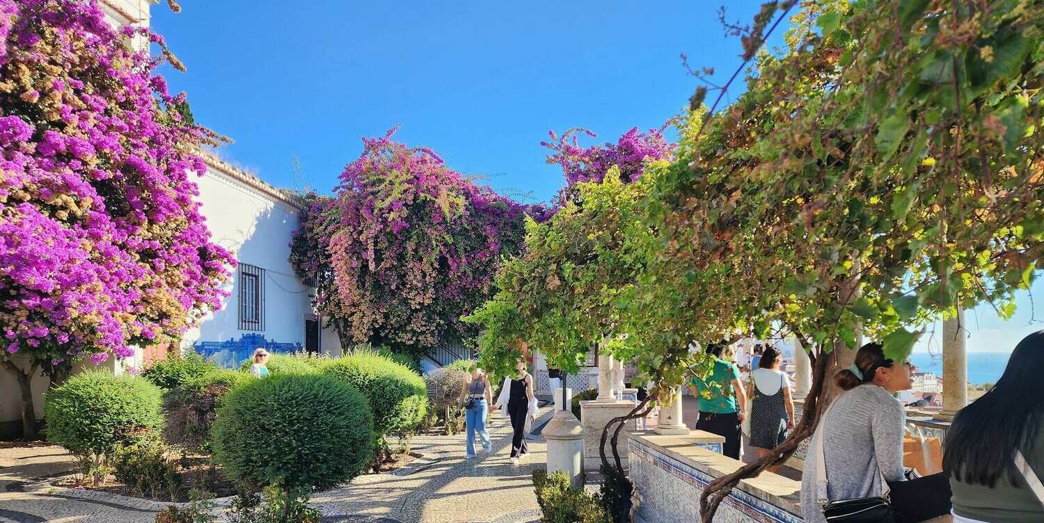 Смотровая площадка Санта-Лузия с цветущей бугенвиллией и видом на район Алфама, индивидуальные прогулки по Лиссабону с гидом