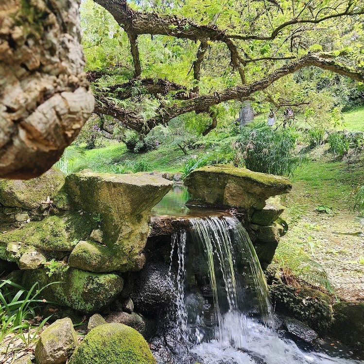 Водопад парк Монсеррат Синтра авторский пикник от Игоря Зорина