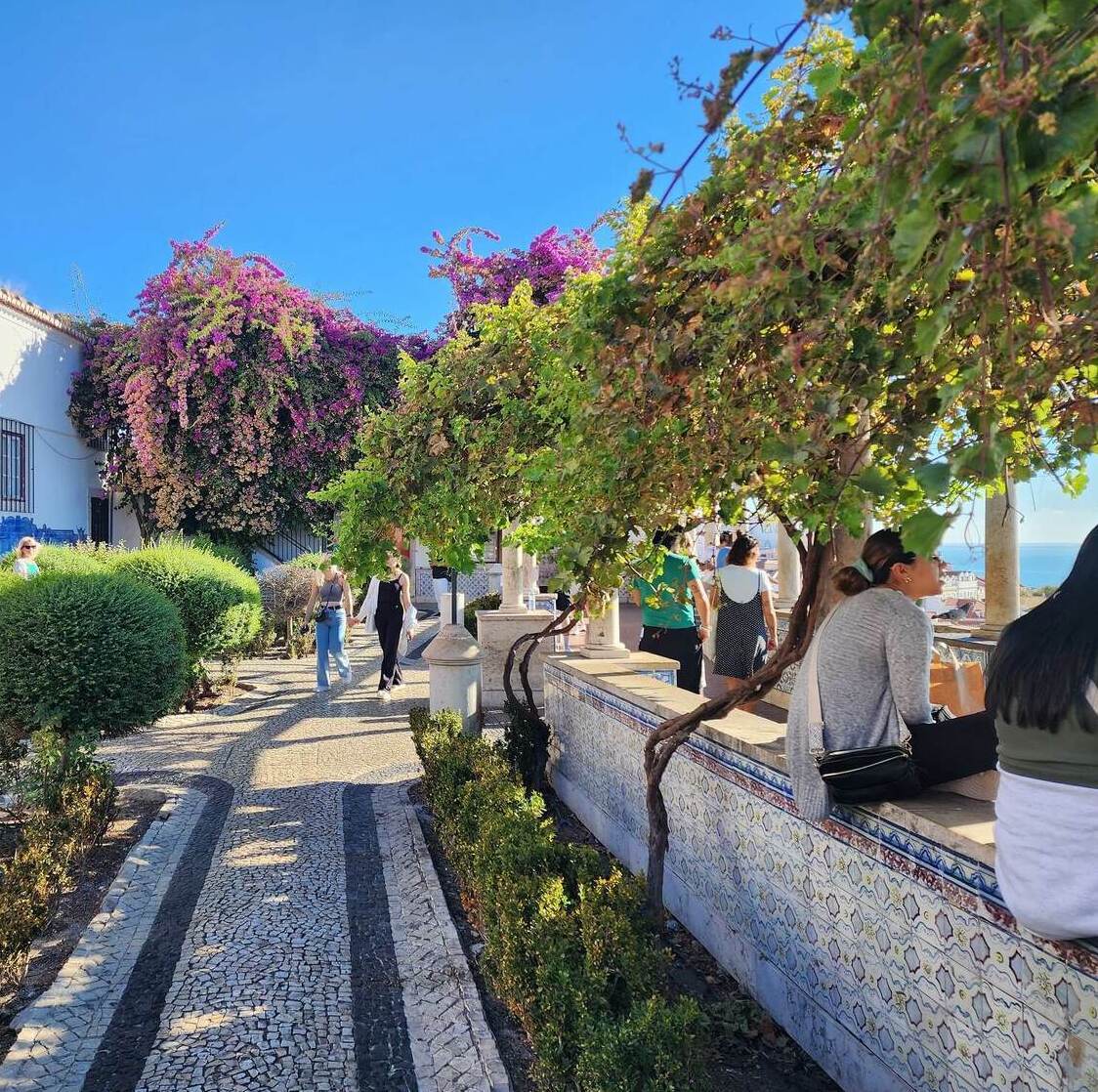 Вид на Лиссабон со смотровой площадки Санта-Лузия с цветущей бугенвиллеей. ⭐ Индивидуальные туры ⭐ с гидом.