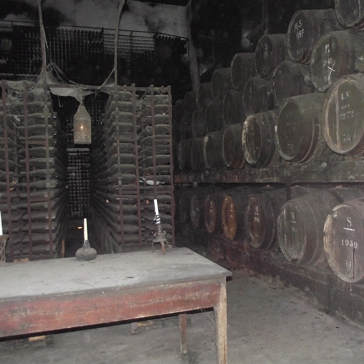 Старинные винные бочки в погребах Азейтау. ⭐ Винно-гастрономические туры ⭐ по нетуристической Португалии.