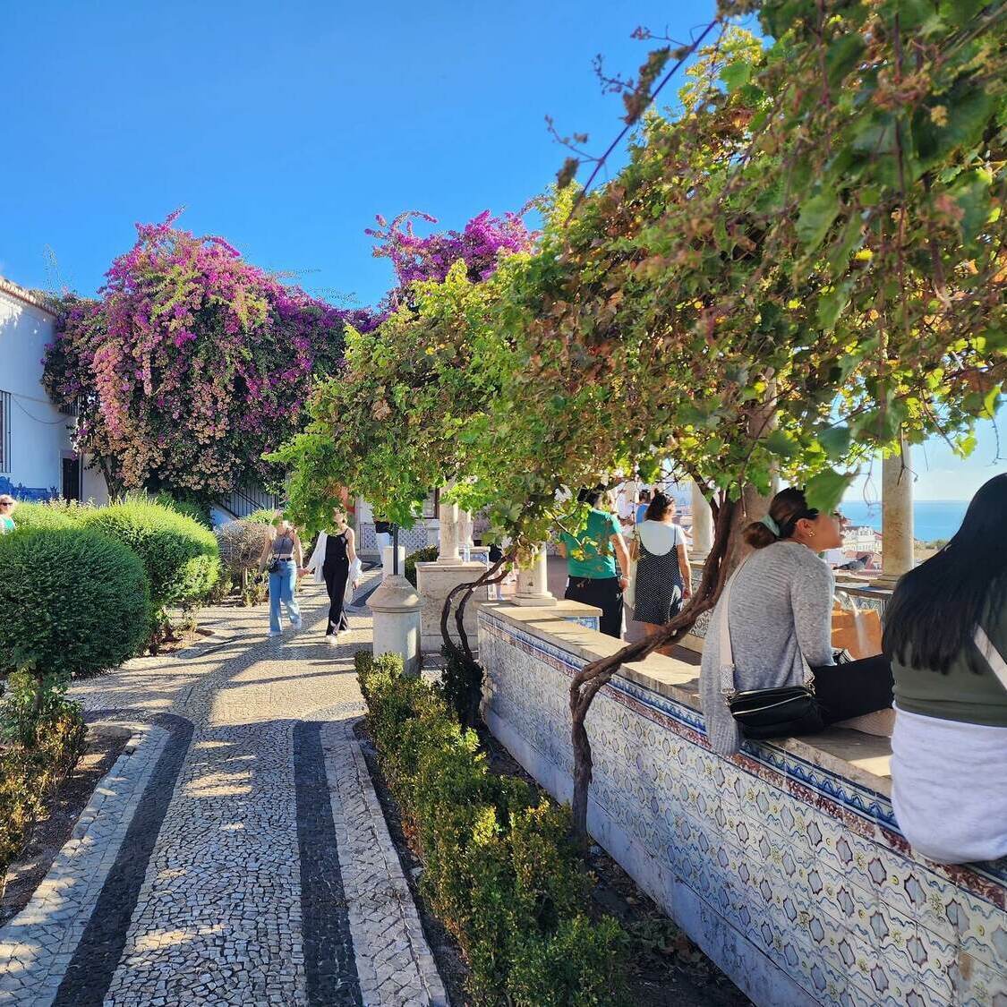 Смотровая площадка Санта-Лузия в Лиссабоне с видом на Алфаму и реку Тежу. Индивидуальные экскурсии в Португалии с гидом Игорем Зориным.